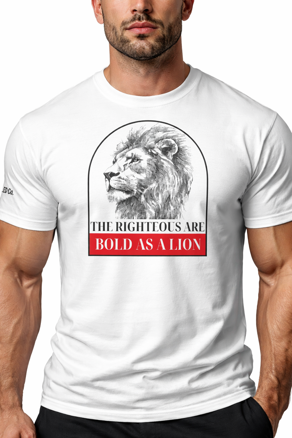 Bold as a Lion Christian T-Shirt with lion design inspired by Proverbs 28:1